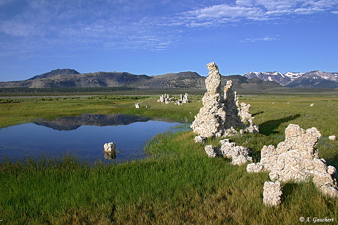 Sand Tufa